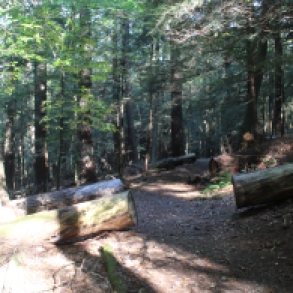 Longfellow Trail